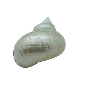 SH 907