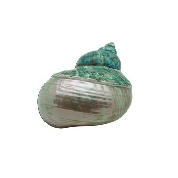 SH 914