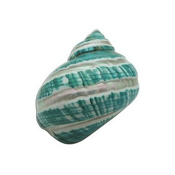 SH 918